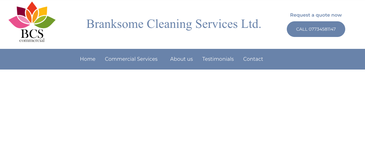 BCS Commercial Cleaning old website with outdated design and poor user experience